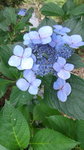 DCF00585.jpg