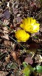 DCF00778.jpg