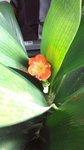 DCF00802.jpg