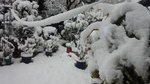 DCF00844.jpg