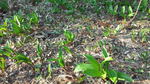 DCF00863.jpg