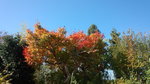 DCF00918.jpg