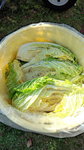 DCF00988.jpg