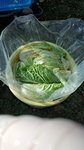 DCF00991.jpg