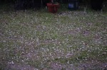 DSC00305.jpg