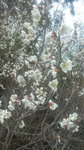 DCF00156.jpg
