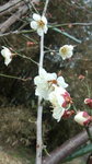 DCF00157.jpg
