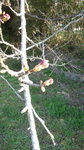 DCF00161.jpg