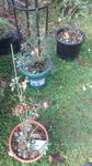 DCF00630.jpg
