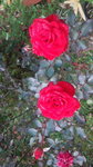 DCF00631.jpg