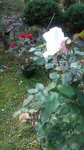DCF00633.jpg