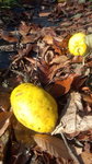 DCF00637.jpg