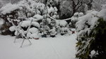 DCF00867.jpg