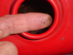 DSC06122.JPG