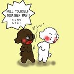 しっかりしろ.jpg
