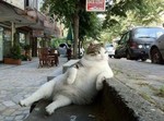 世の中って・・・そんなもんだよ.jpg