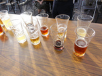 利きビール (1).jpg