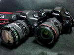 EOS 5D (6).JPG
